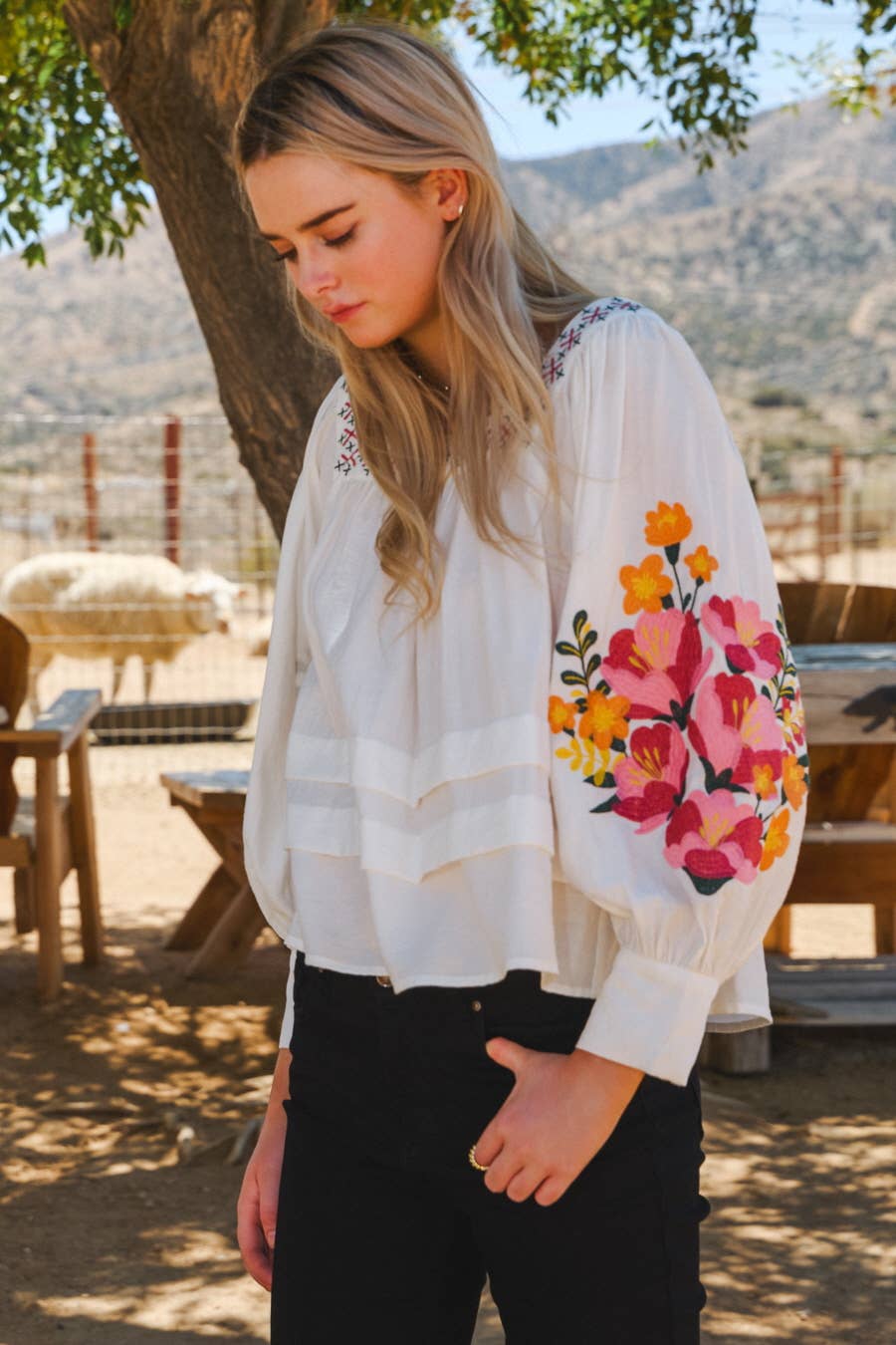 Embroidered Blouse