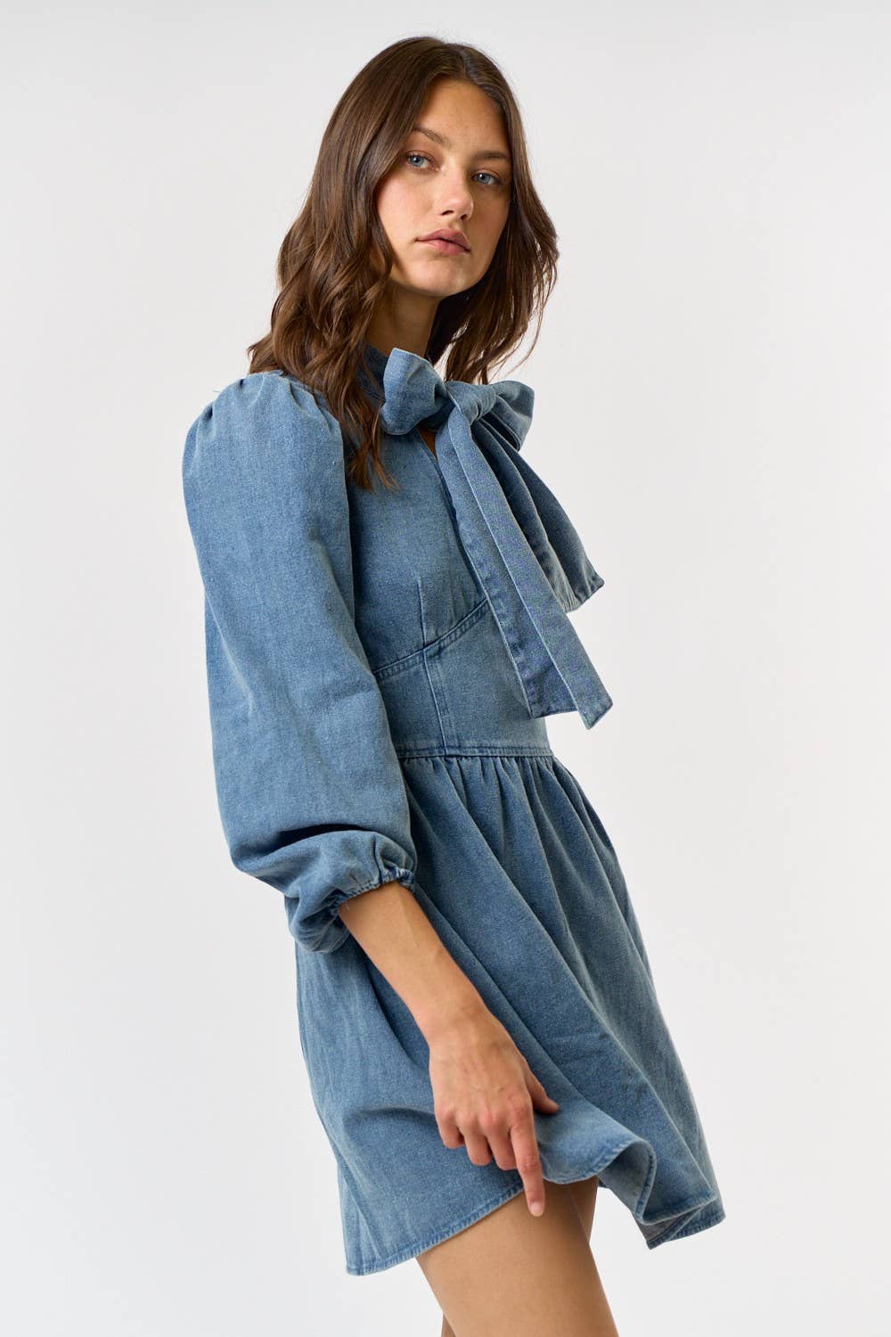 Bow Neck Tie Smocked Back Denim Babydoll Dress