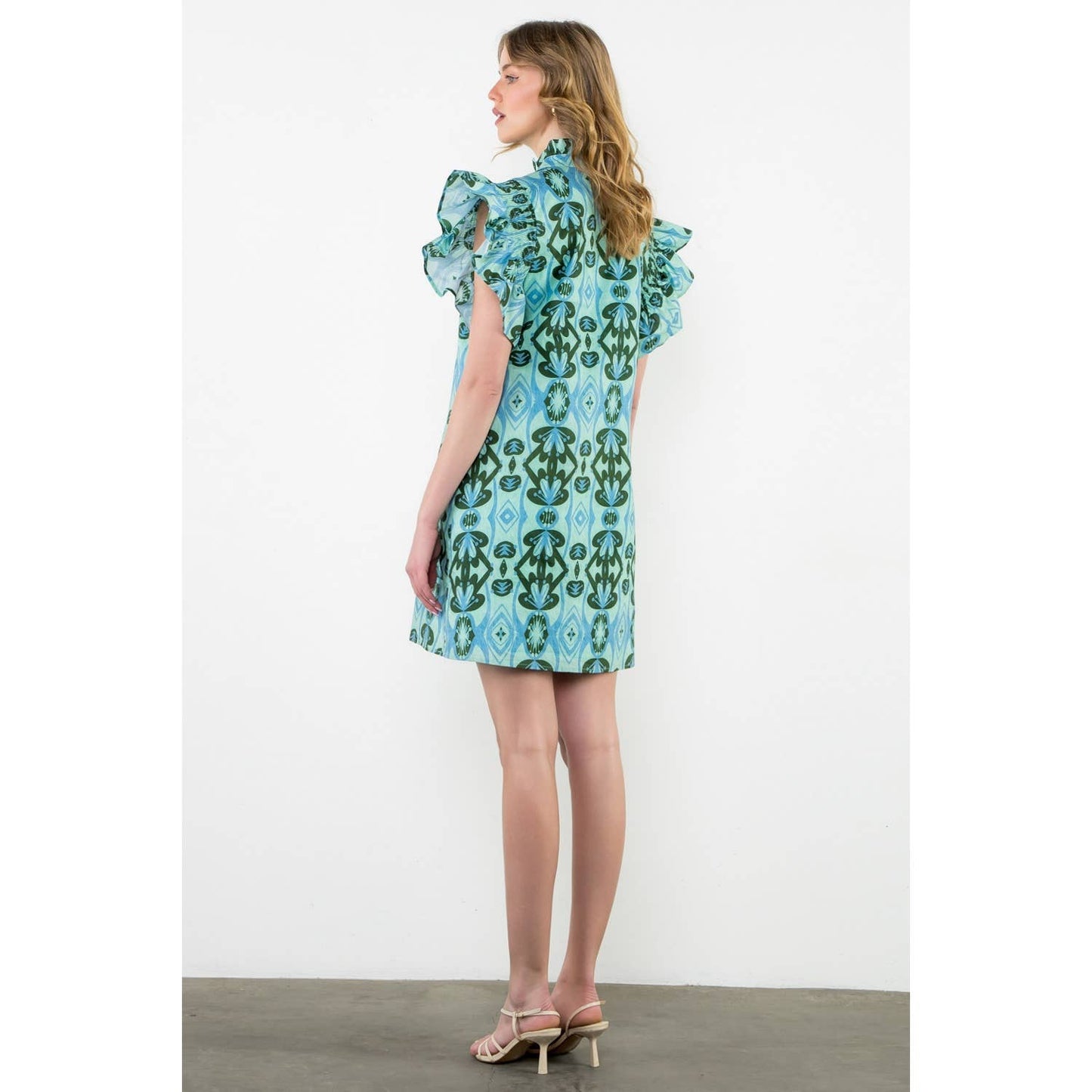 Ruffle Sleeve Print Dress