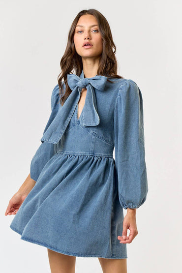 Bow Neck Tie Smocked Back Denim Babydoll Dress