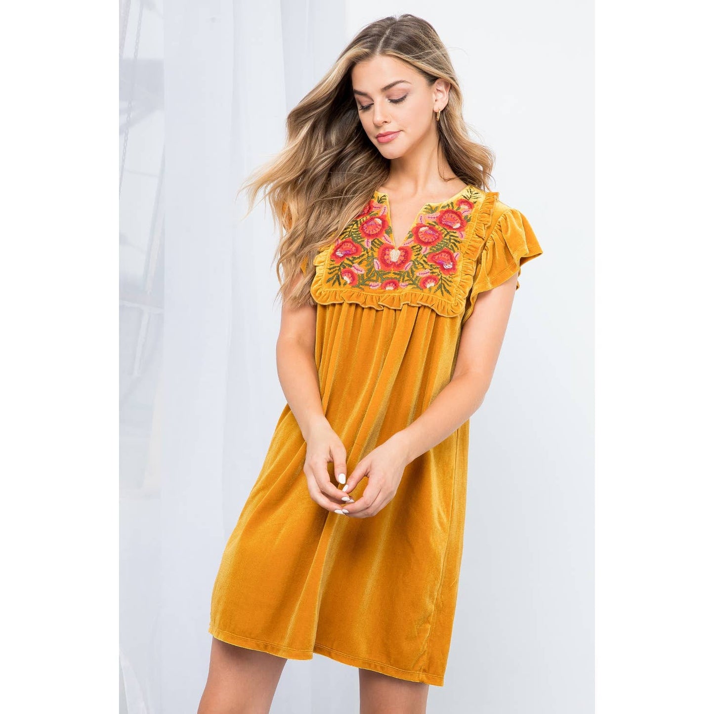 Velvet Embroidered Dress