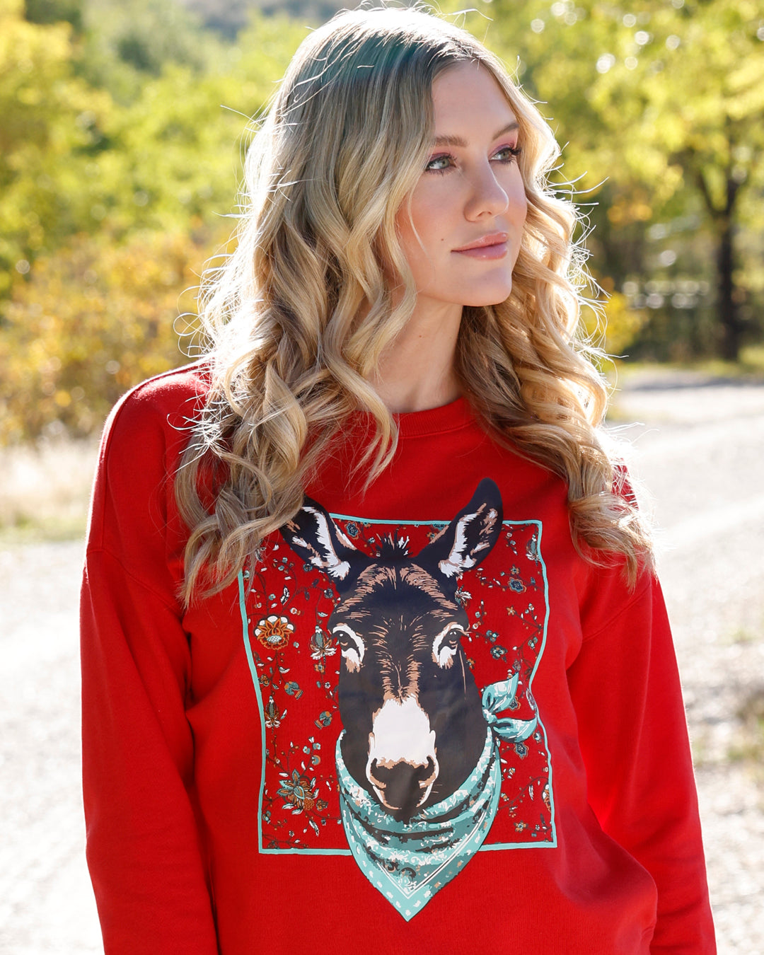 Cruel Denim Donkey Sweatshirt