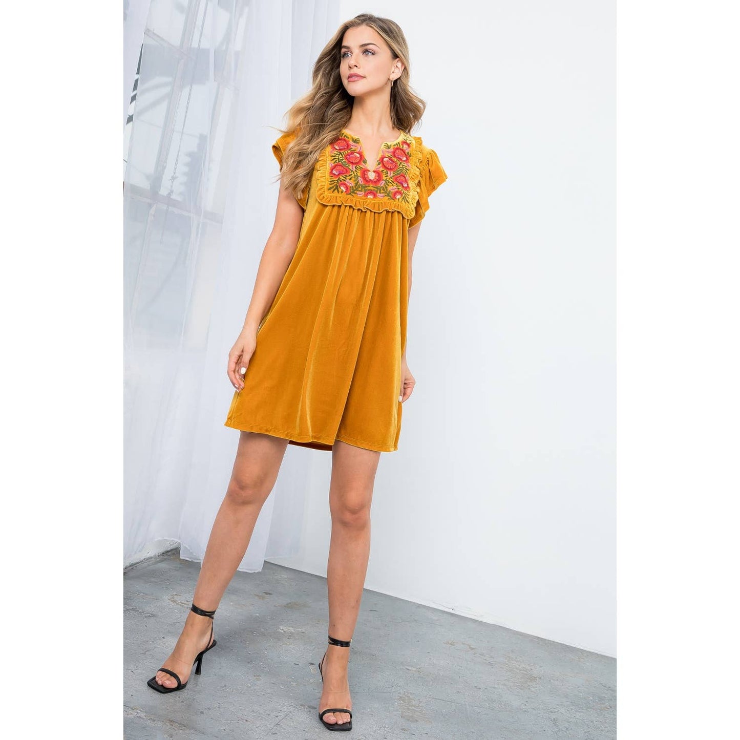 Velvet Embroidered Dress