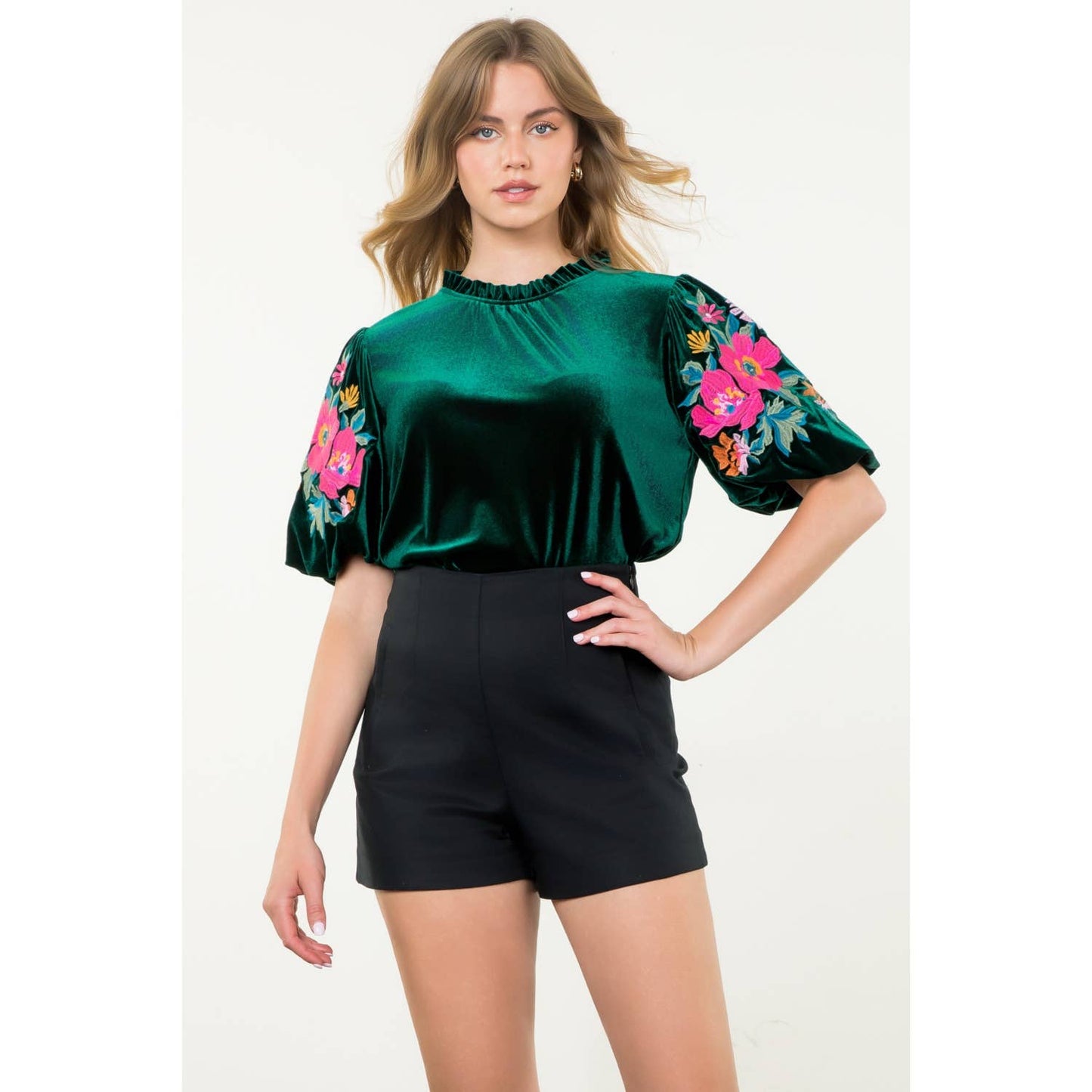 Velvet Embroidered Detail Puff Sleeve Top