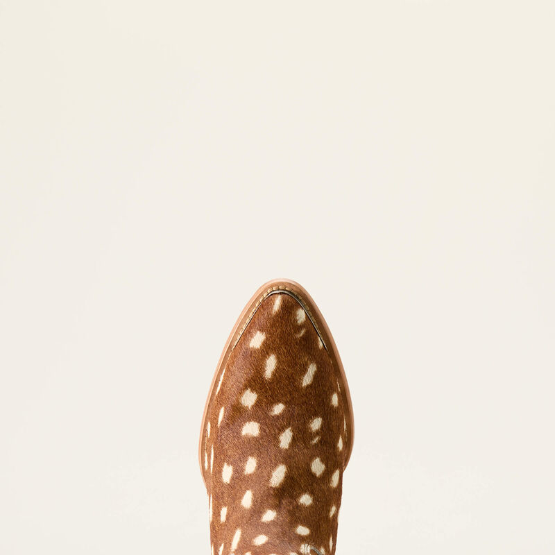 Ariat Shiloh Booties
