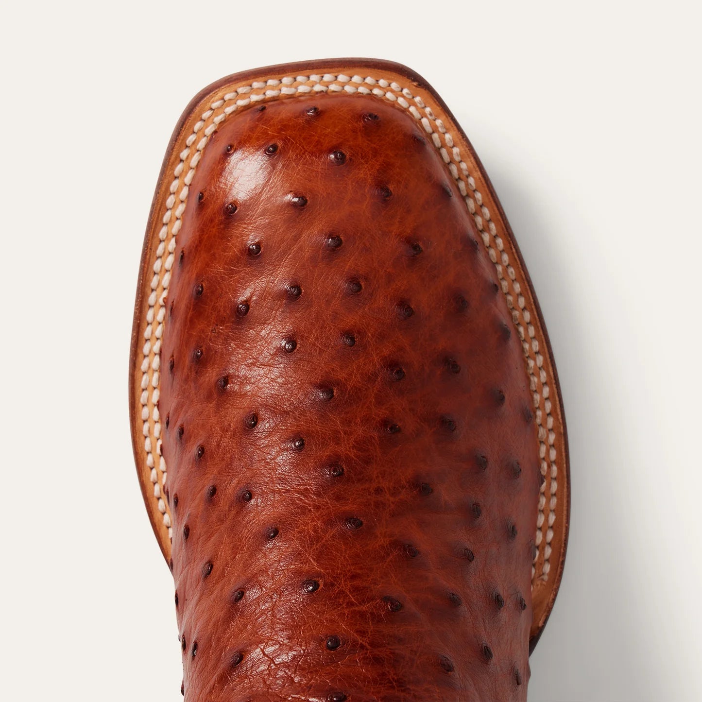 Stetson Ozzy Ostrich Boots