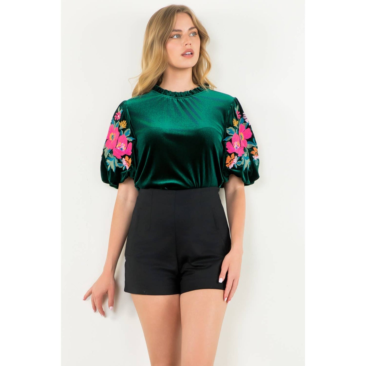 Velvet Embroidered Detail Puff Sleeve Top