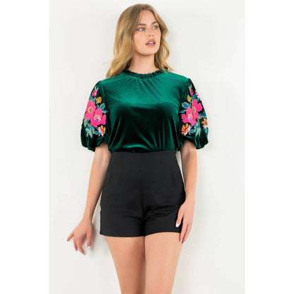 Velvet Embroidered Detail Puff Sleeve Top