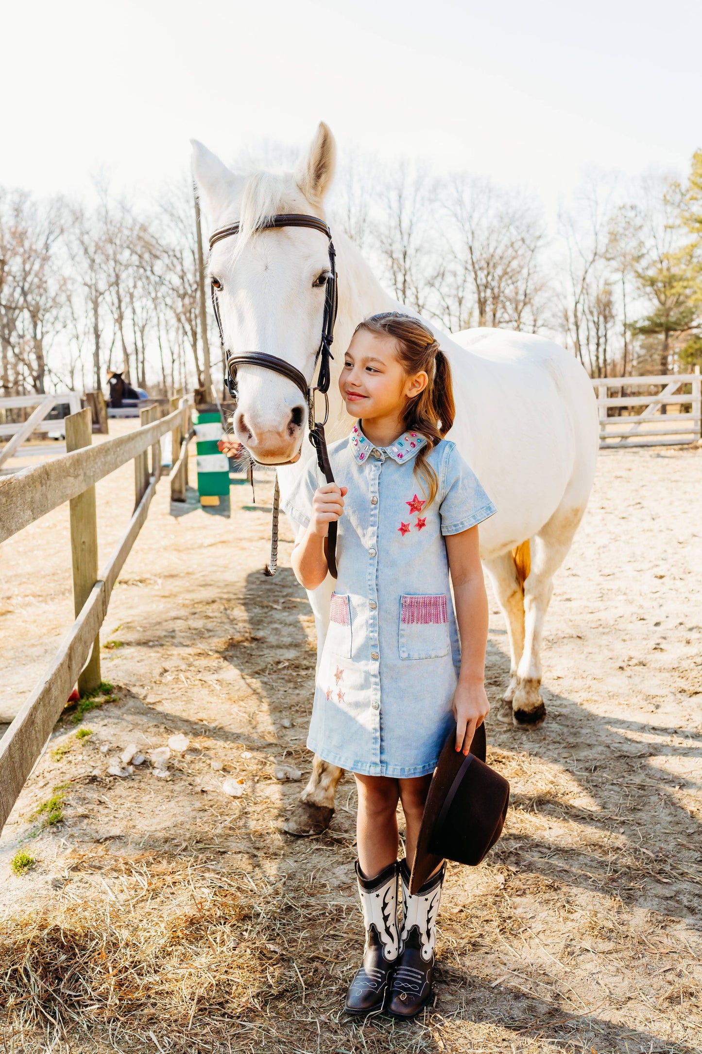 Dolly Denim Dress