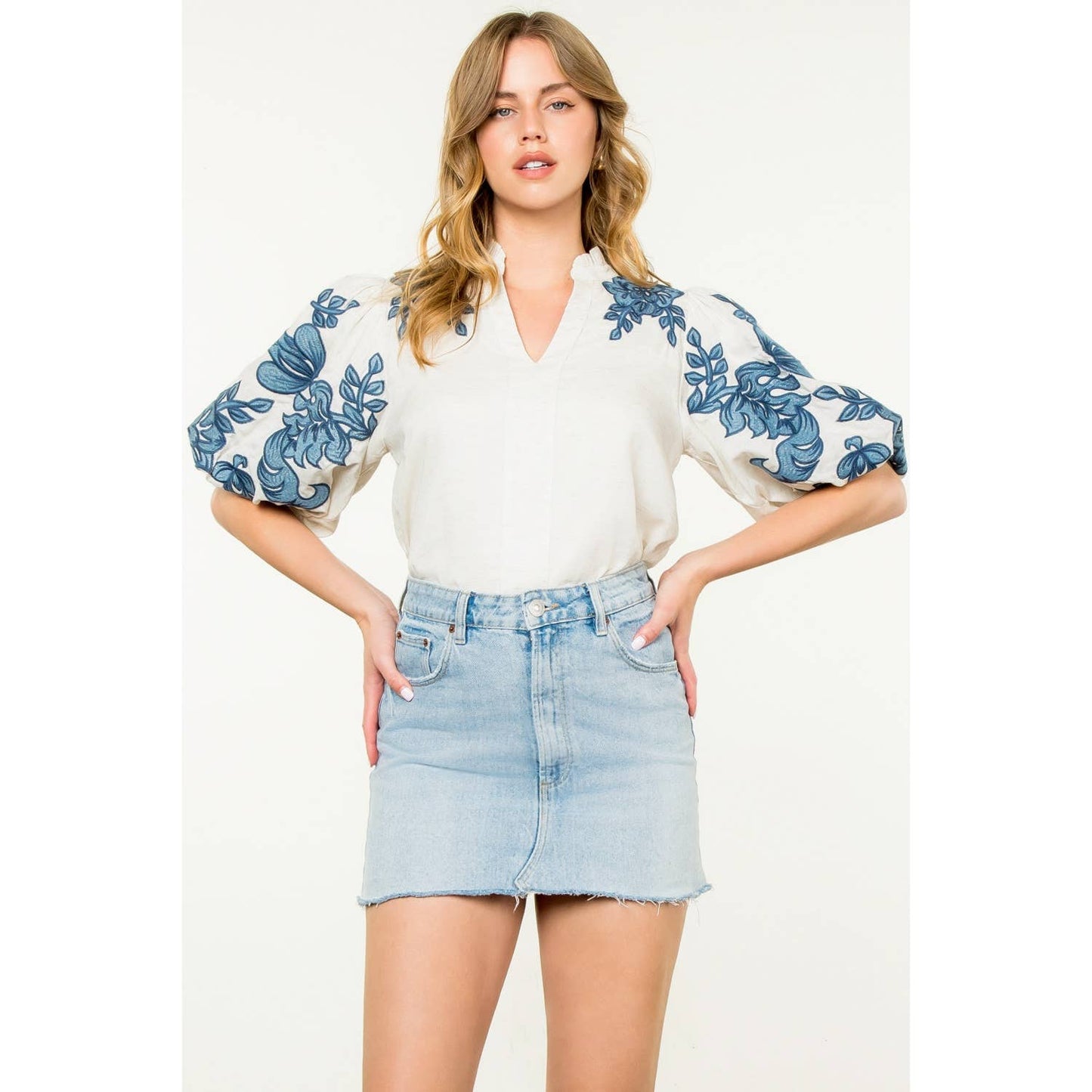 Embroidered Puff Sleeve V-Neck Top