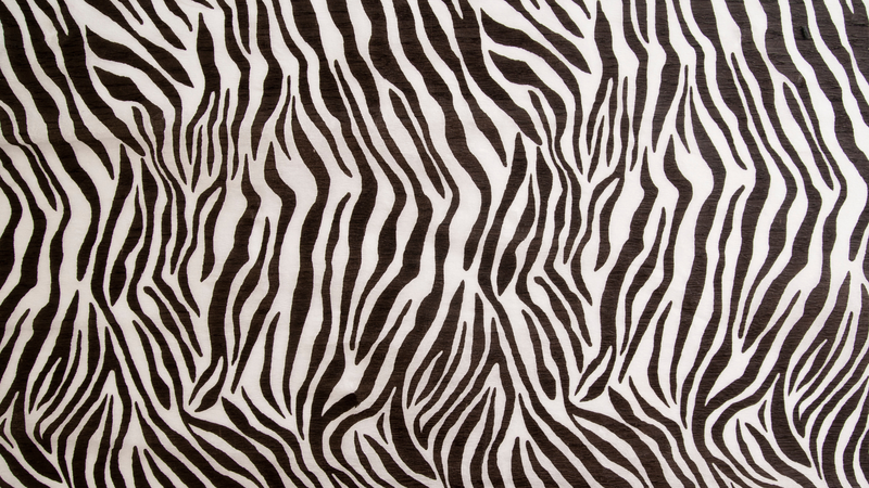 West & Co. Zebra Print Silk Twilly Scarf