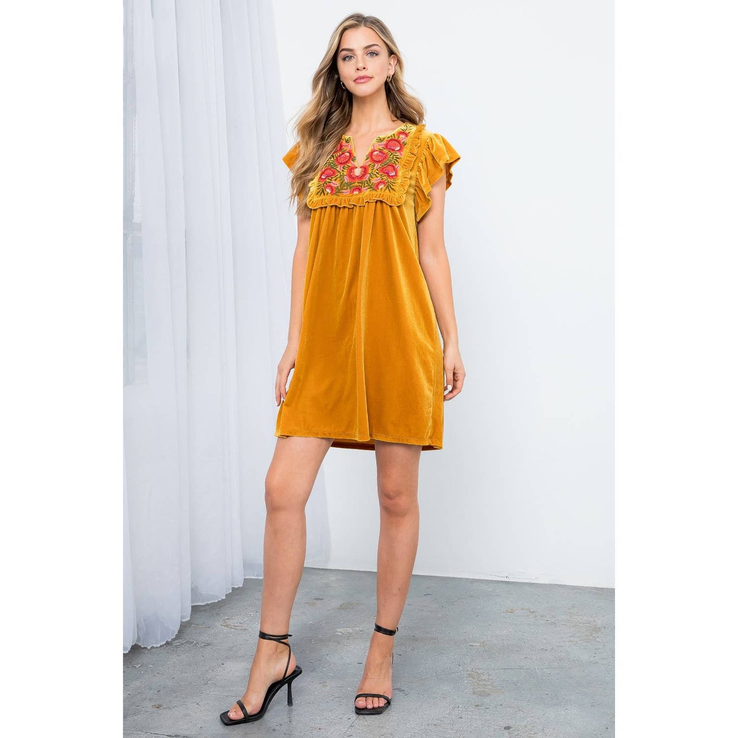 Velvet Embroidered Dress