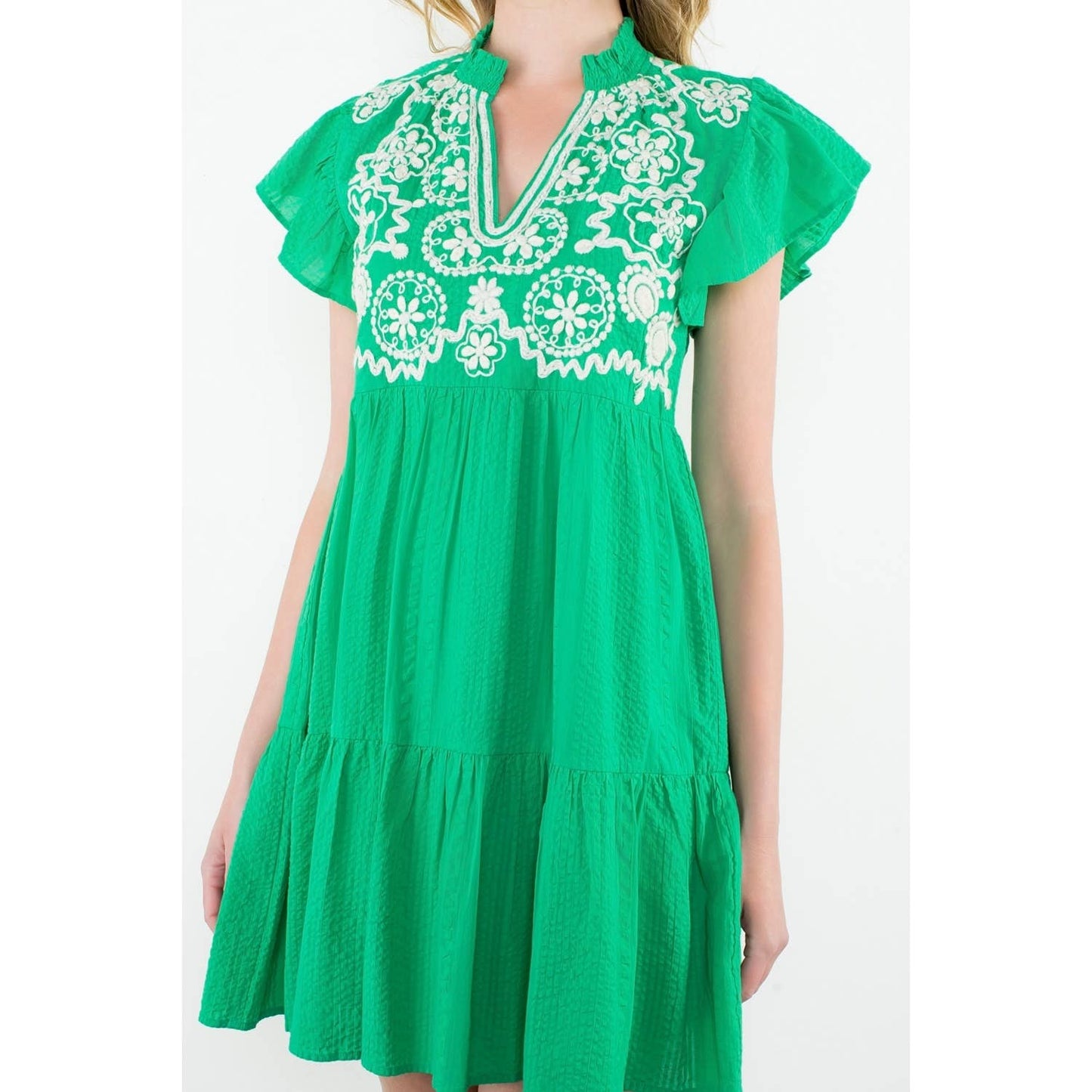 Embroidered Flutter Sleeve Mini Dress