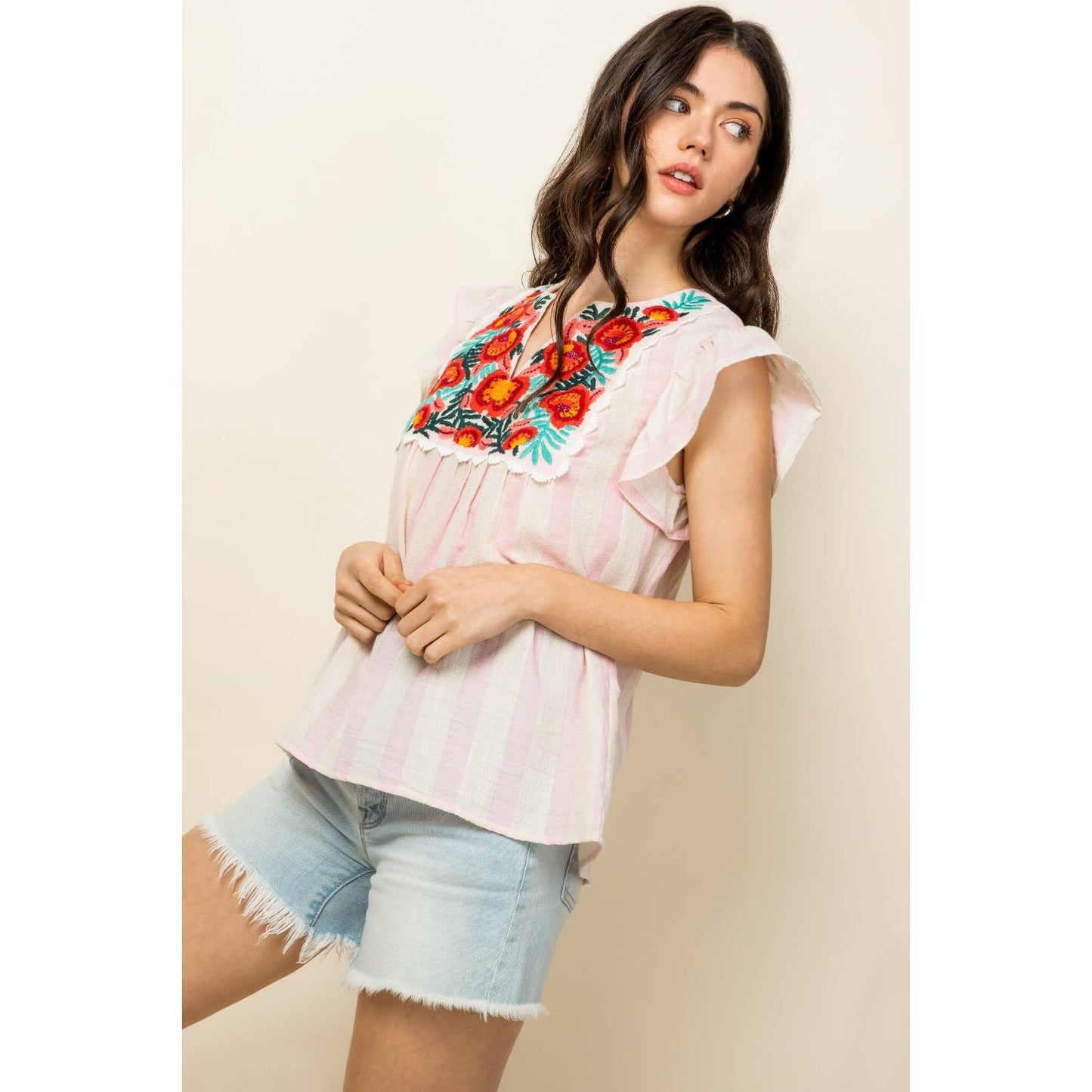 Stripe Embroidered Top