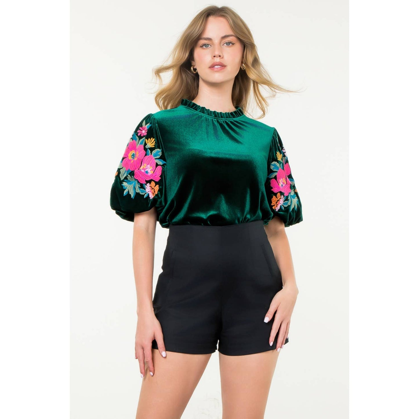 Velvet Embroidered Detail Puff Sleeve Top