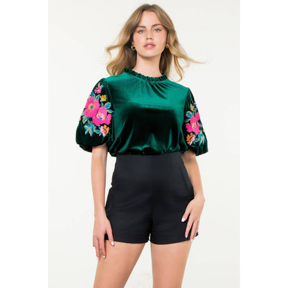 Velvet Embroidered Detail Puff Sleeve Top
