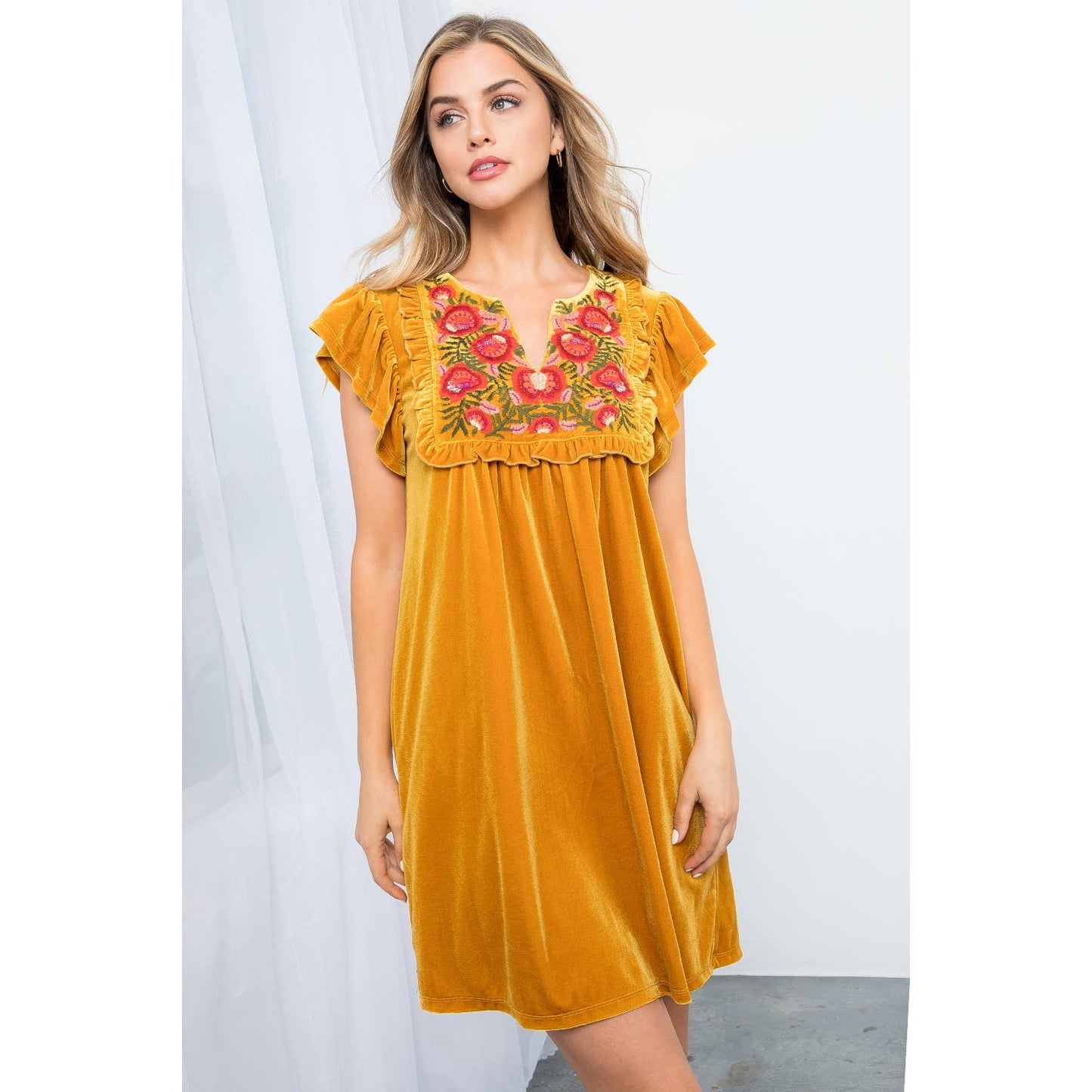 Velvet Embroidered Dress