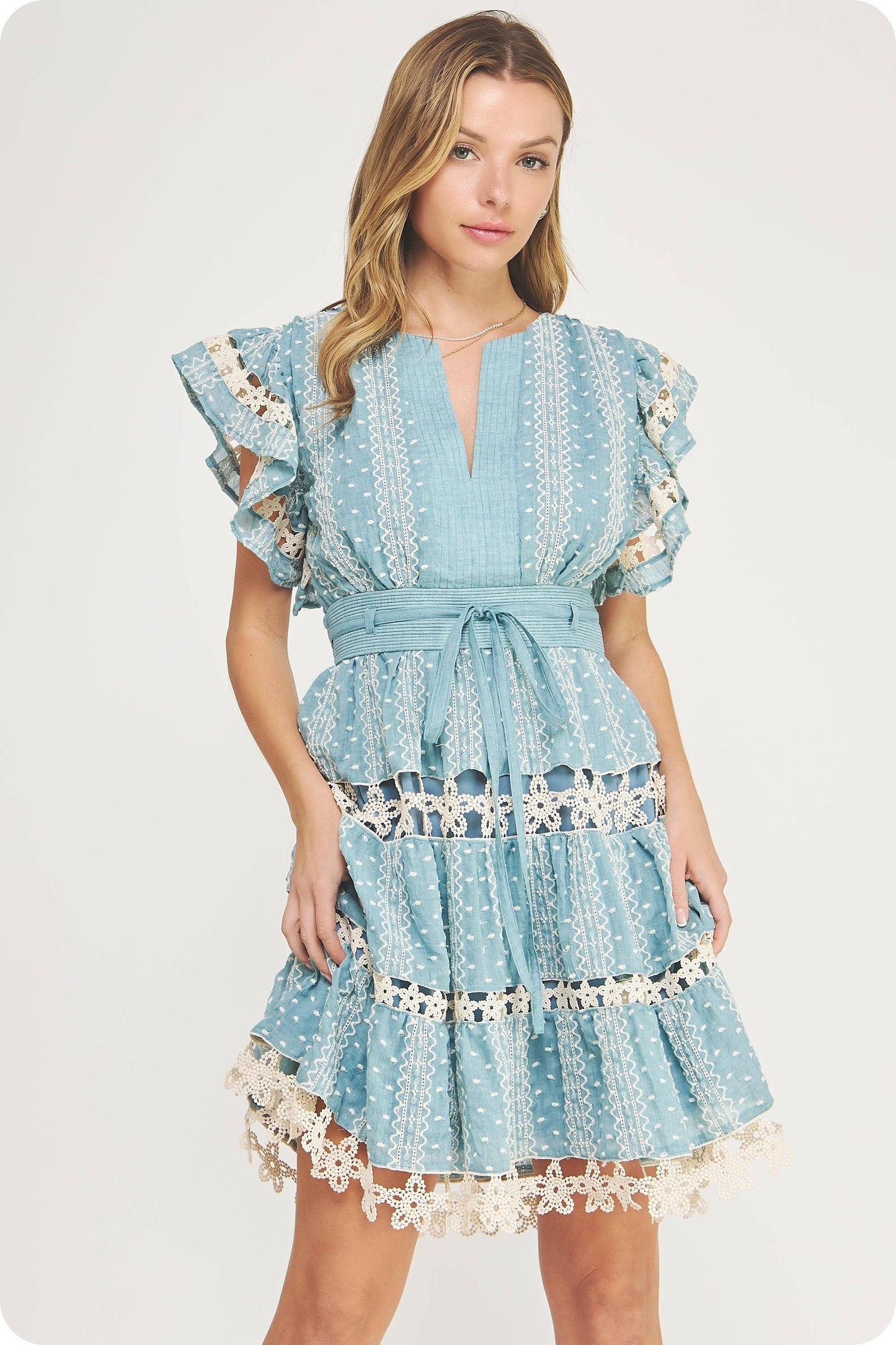 Embroidered Lace Trim Detail Mini Dress