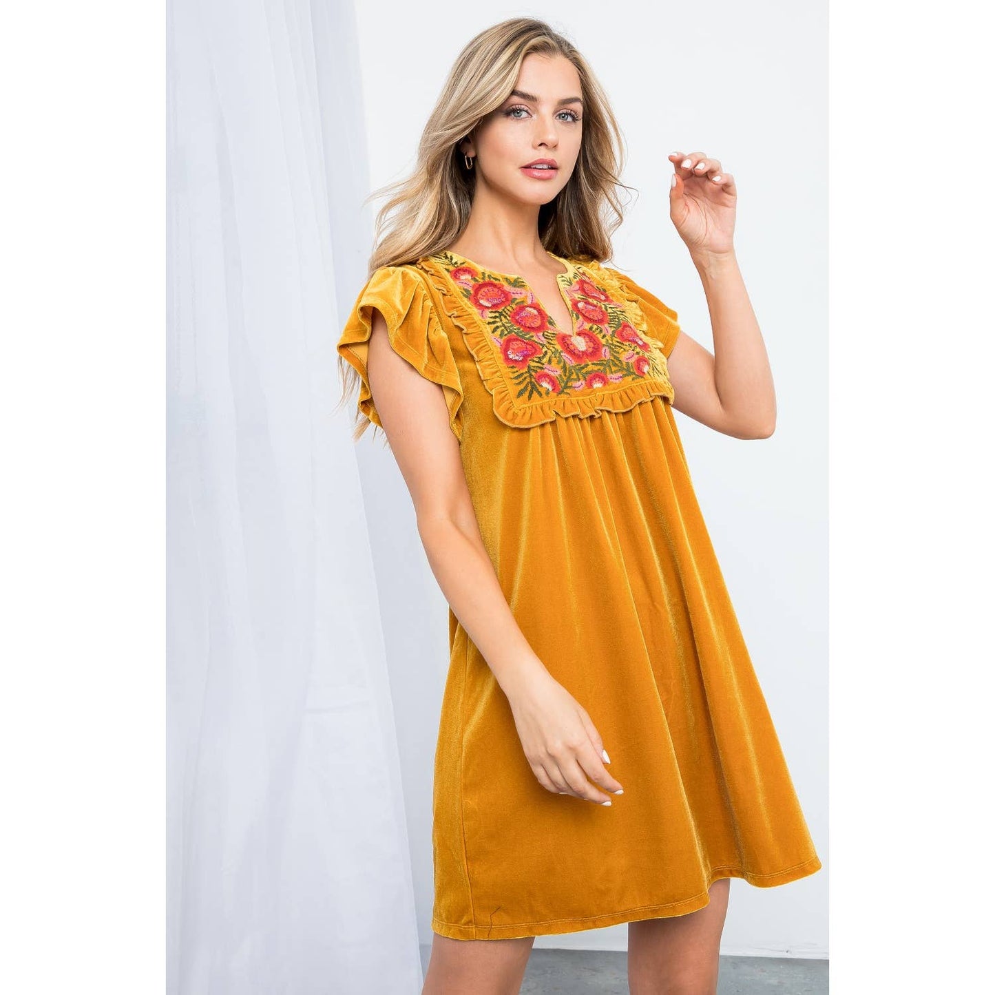 Velvet Embroidered Dress