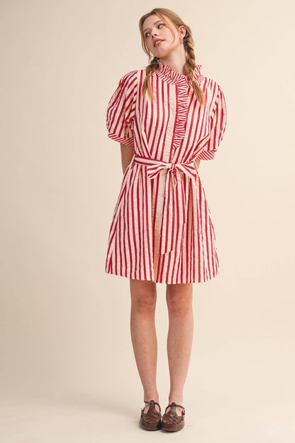 Striped Ruffled Button Down Mini Dress