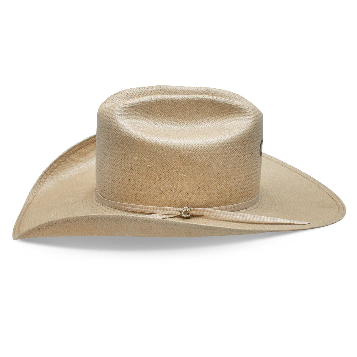 Charlie 1 Horse The Cowgirl Hat in Silverbelly