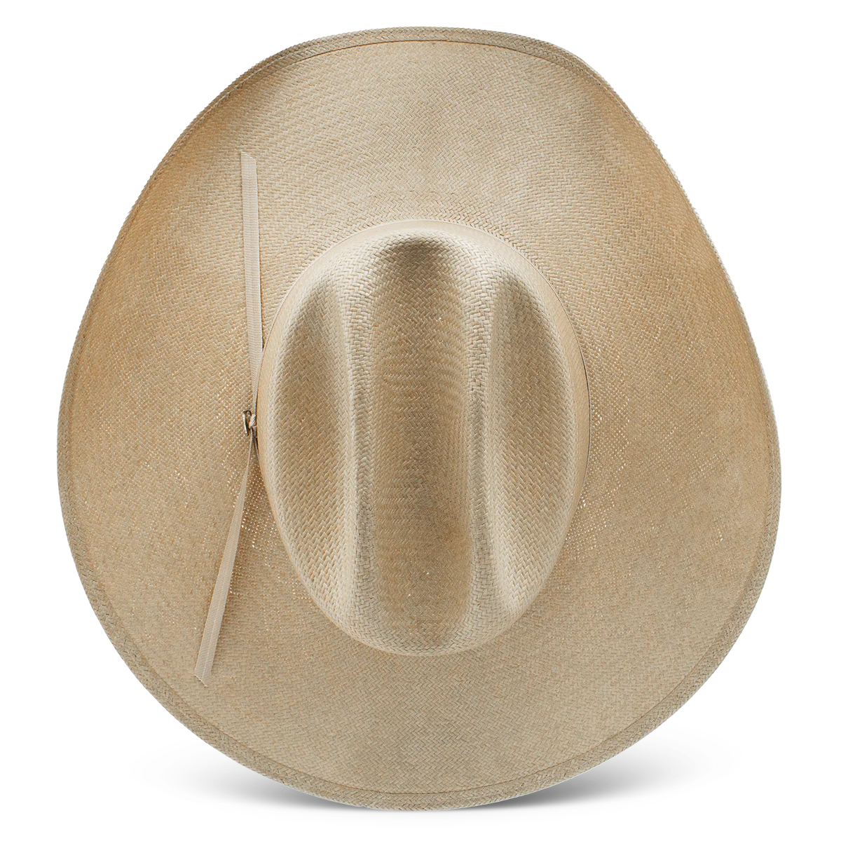 Charlie 1 Horse The Cowgirl Hat in Silverbelly