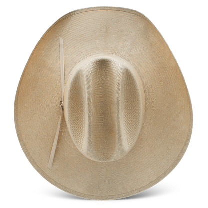Charlie 1 Horse The Cowgirl Hat in Silverbelly