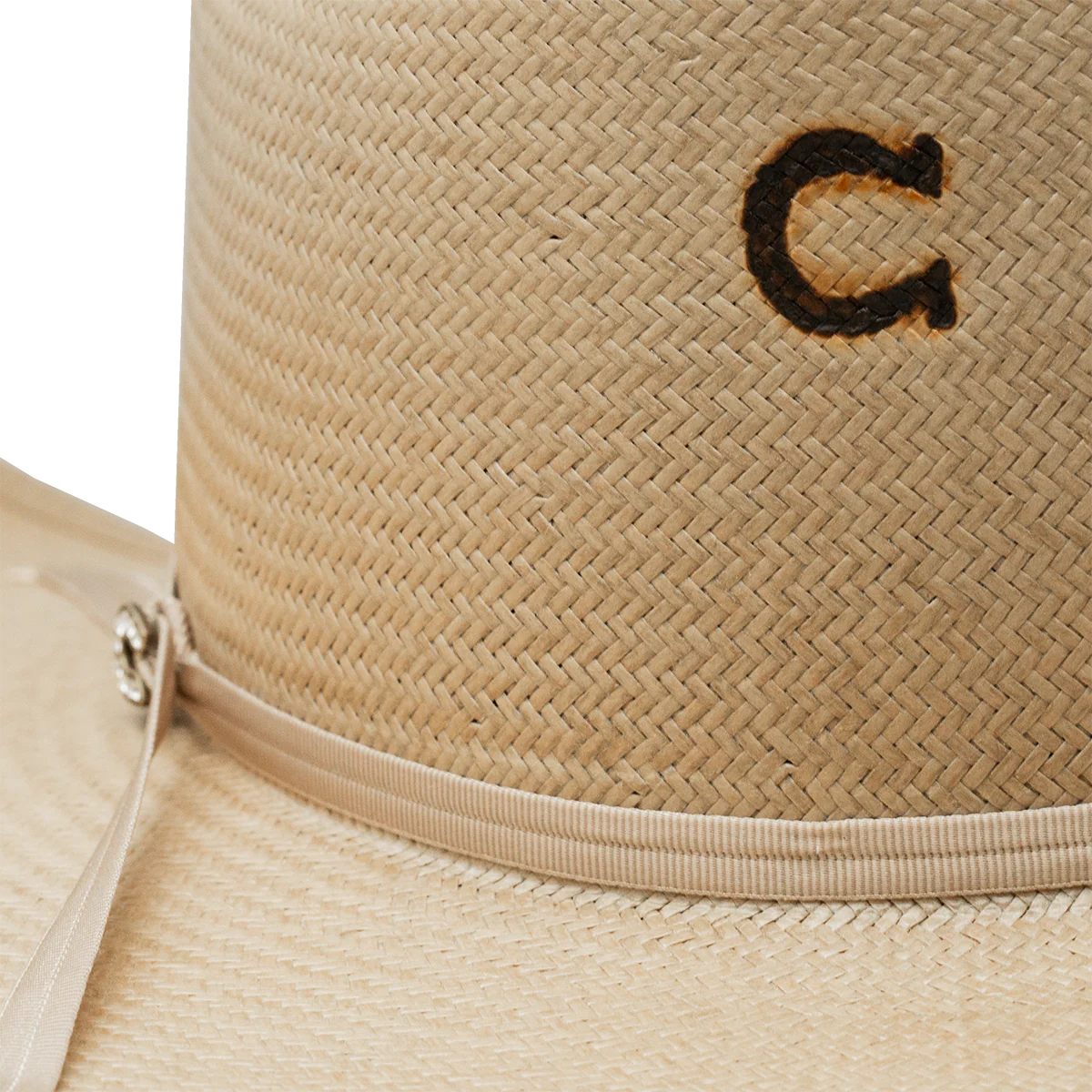Charlie 1 Horse The Cowgirl Hat in Silverbelly