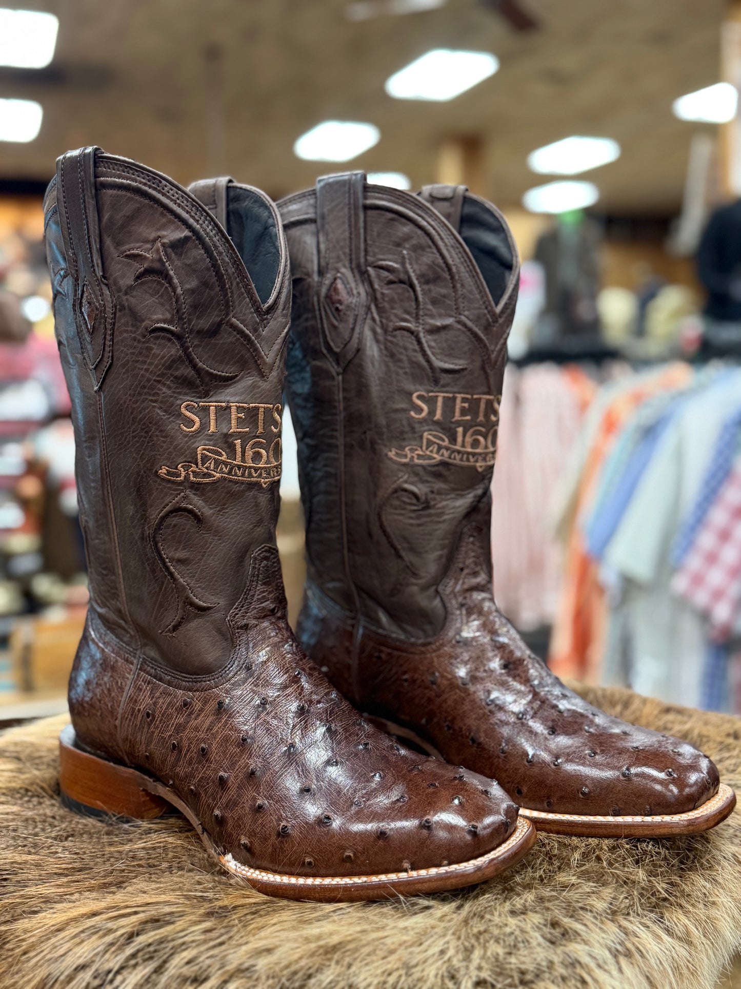 Stetson Anniversary FQ Ostrich Boots