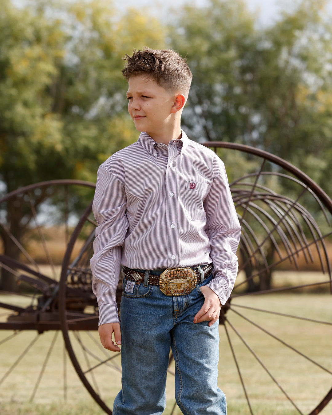 Cinch Boy's Lilac Stripe Western Button Down