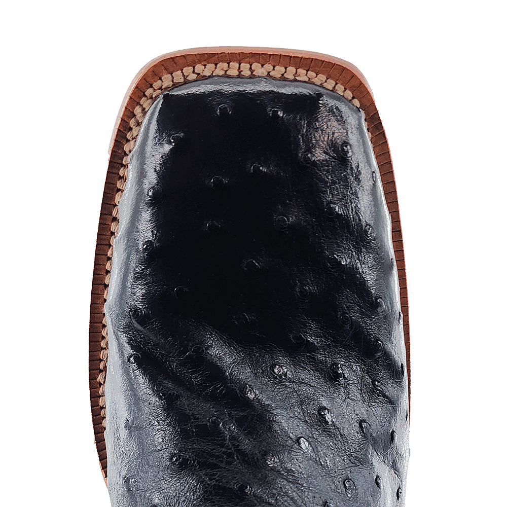 R Watson FQ Ostrich Black Boots