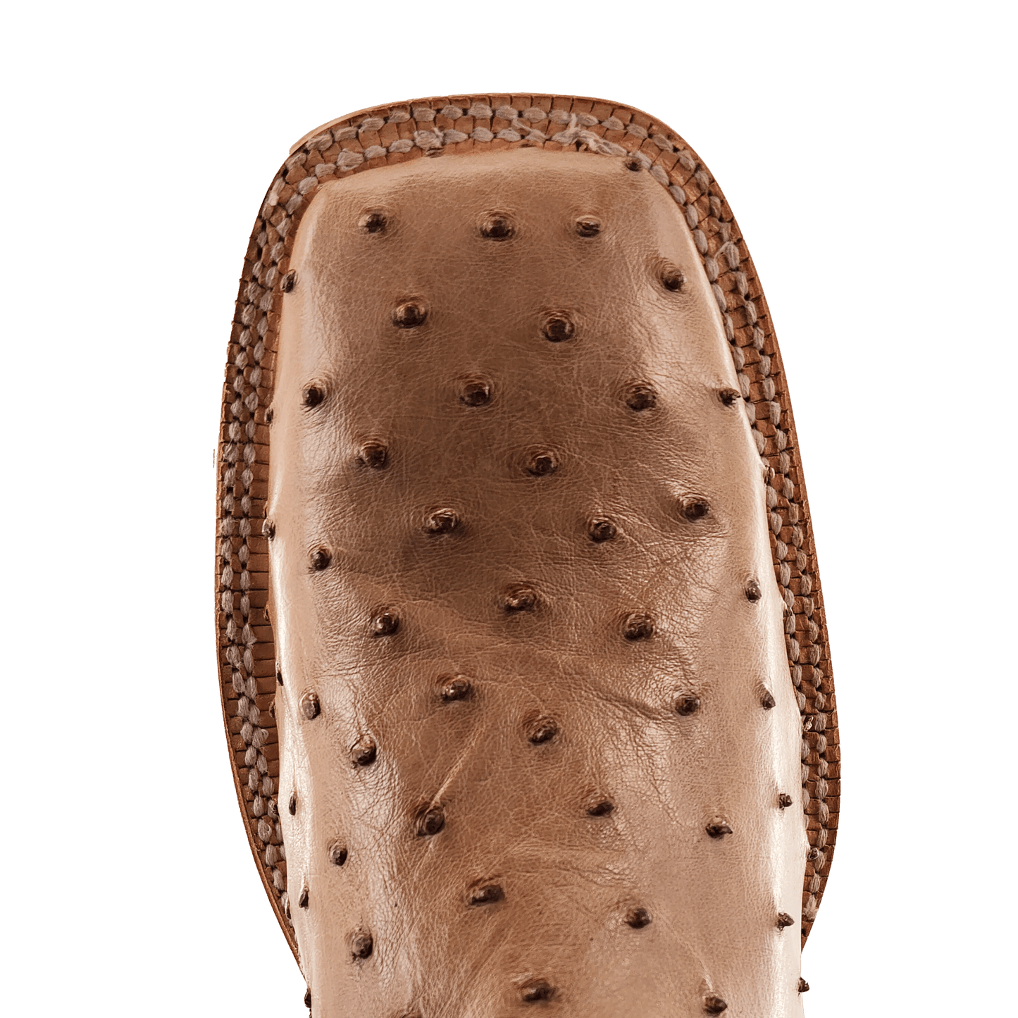 R. Watson Sand Bruciato FQ Ostrich