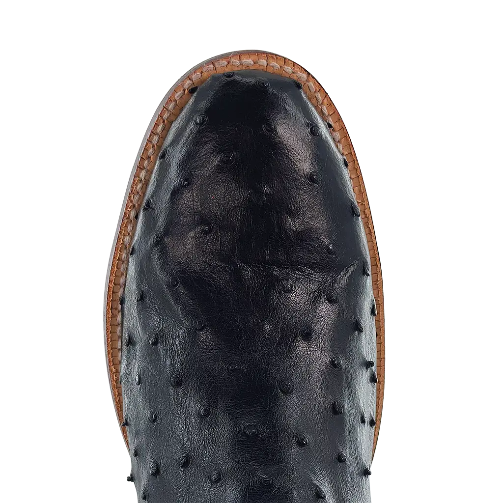 R. Watson Black Full Quill Ostrich Roper Boots