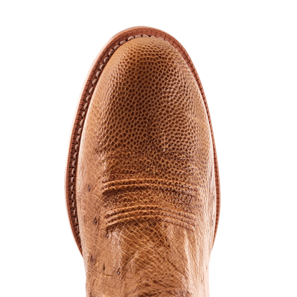 R. Watson Antique Saddle Smooth Ostrich Sunset Tan Boots