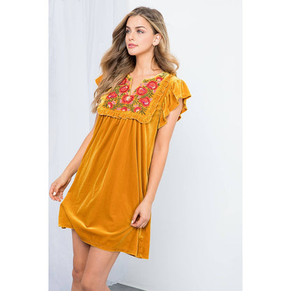 Velvet Embroidered Dress