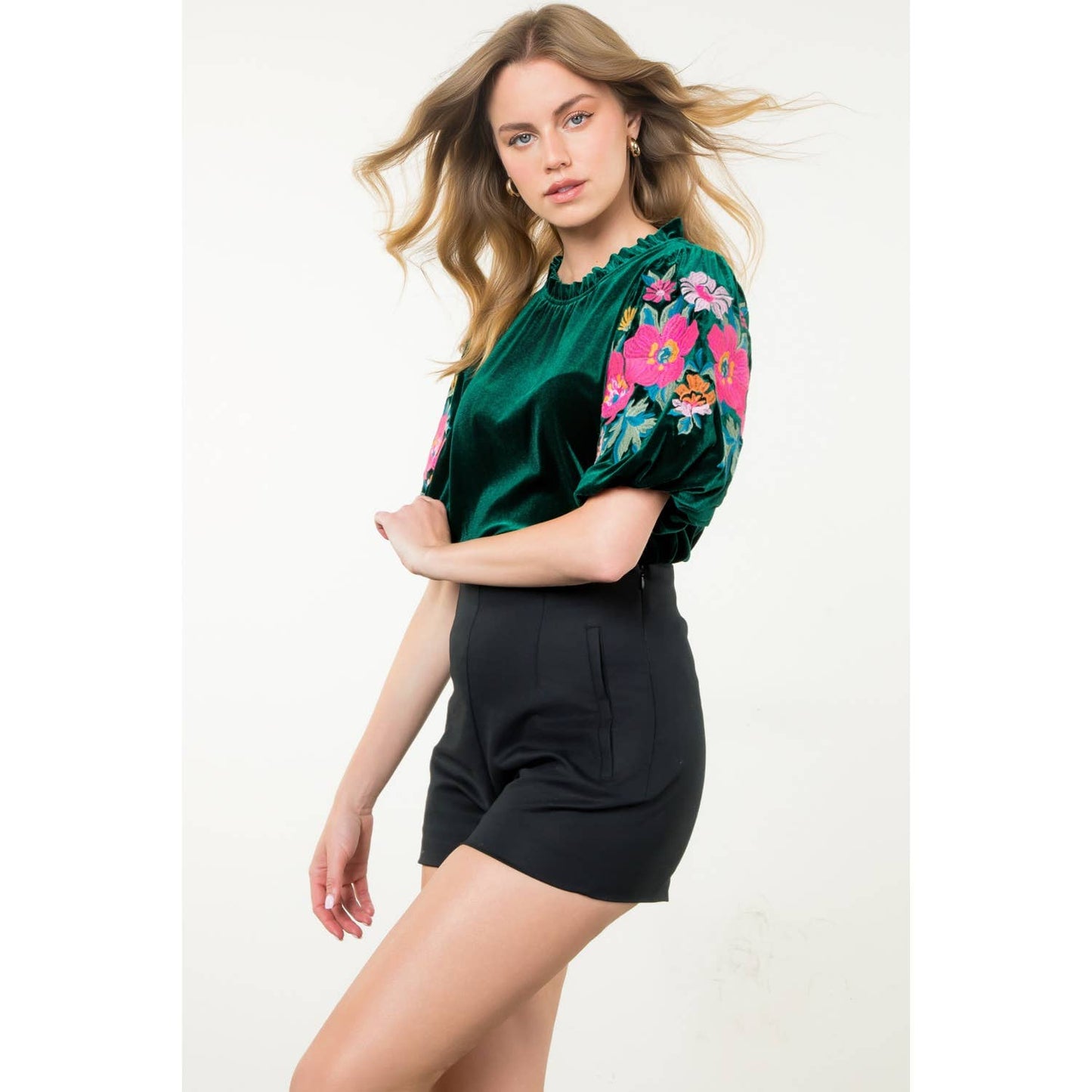 Velvet Embroidered Detail Puff Sleeve Top