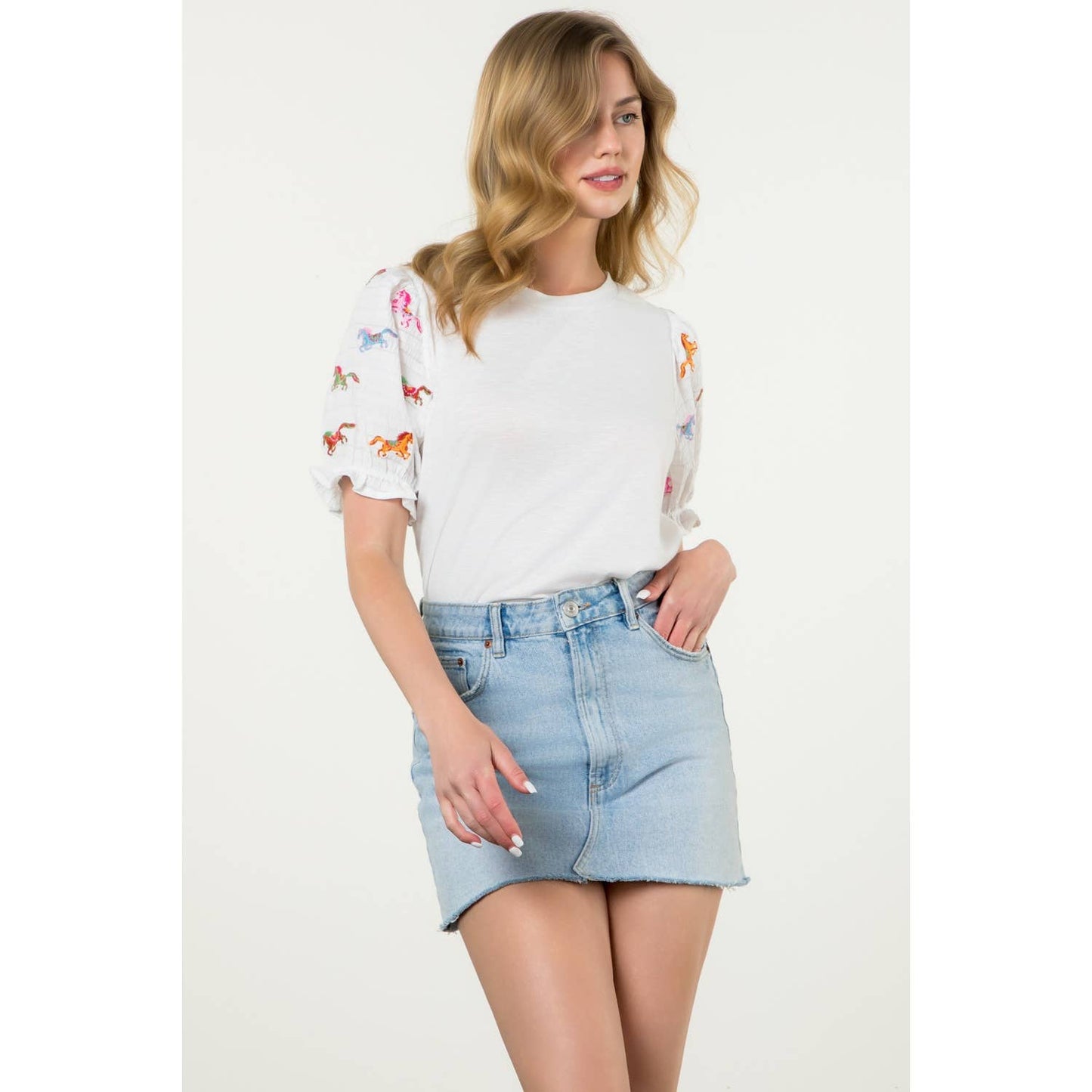 Embroidered Textured Puff Sleeve Top