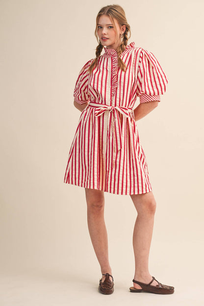 Striped Ruffled Button Down Mini Dress
