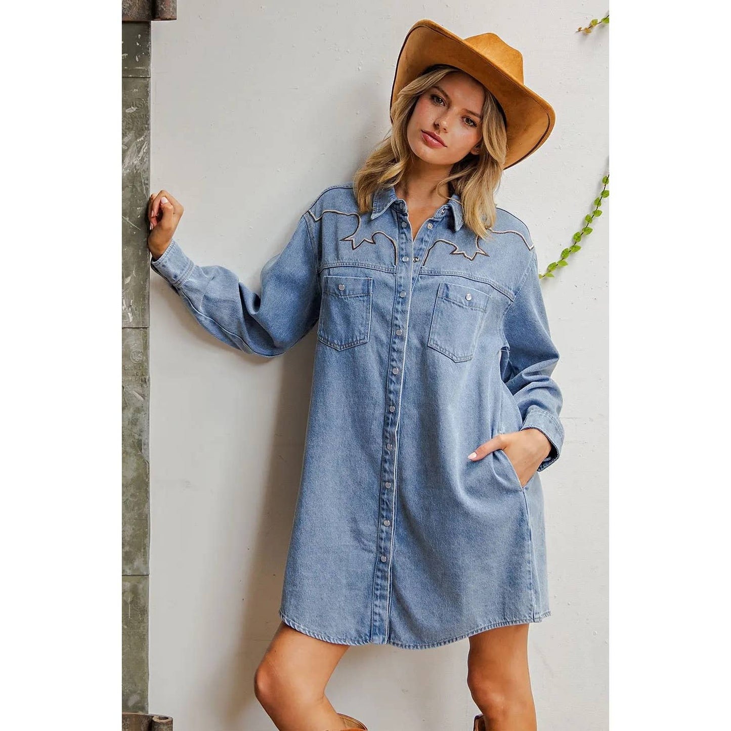 Mineral Washed Embroidered Yoke Denim Dress