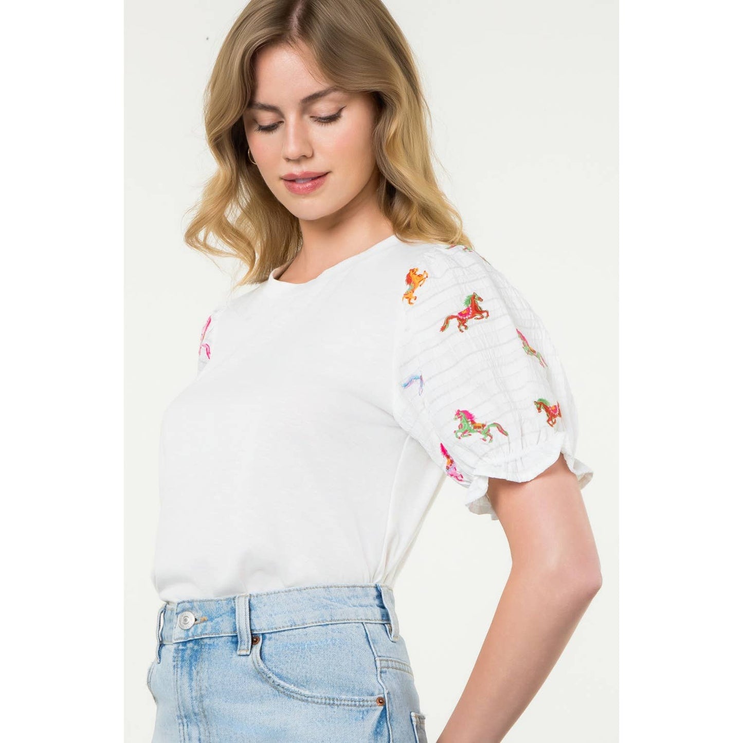 Embroidered Textured Puff Sleeve Top
