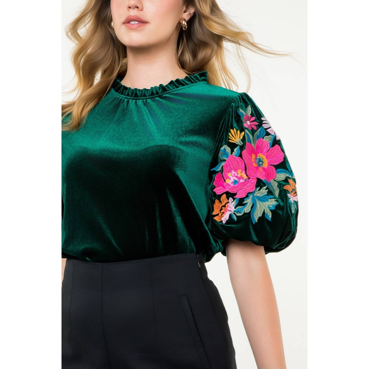 Velvet Embroidered Detail Puff Sleeve Top