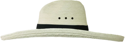 SunBody 6 inch Brim, Low Crown Gus Hat, Guat Std Palm
